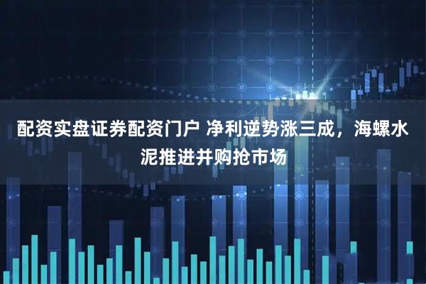 配资实盘证券配资门户 净利逆势涨三成，海螺水泥推进并购抢市场