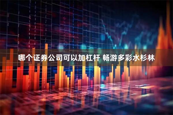 哪个证券公司可以加杠杆 畅游多彩水杉林