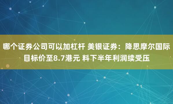 哪个证券公司可以加杠杆 美银证券：降思摩尔国际目标价至8.7港元 料下半年利润续受压