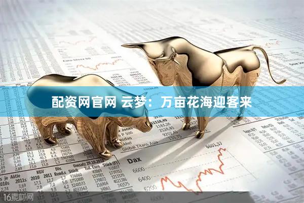 配资网官网 云梦：万亩花海迎客来