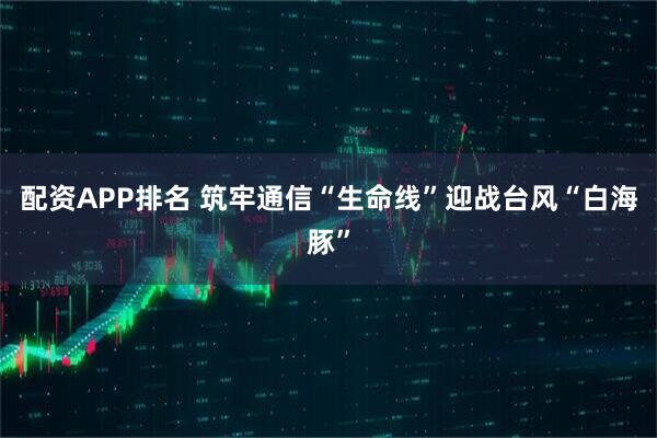 配资APP排名 筑牢通信“生命线”迎战台风“白海豚”